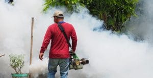 Pest control worker conducting fumigation exercise to eliminate mosquitoes