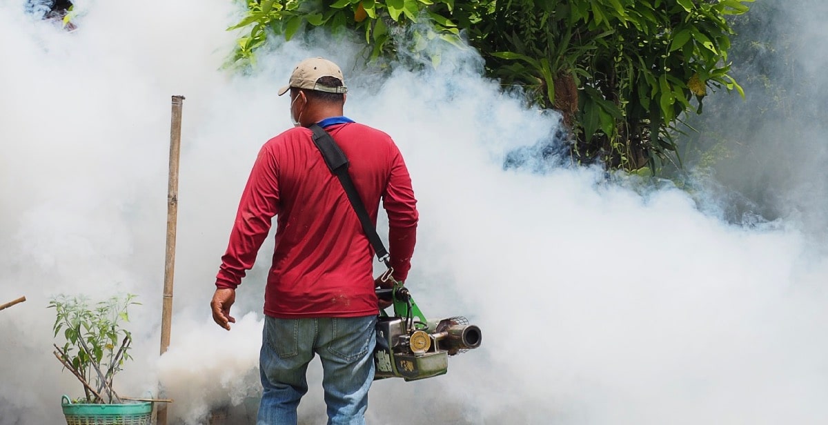 Pest control worker conducting fumigation exercise to eliminate mosquitoes
